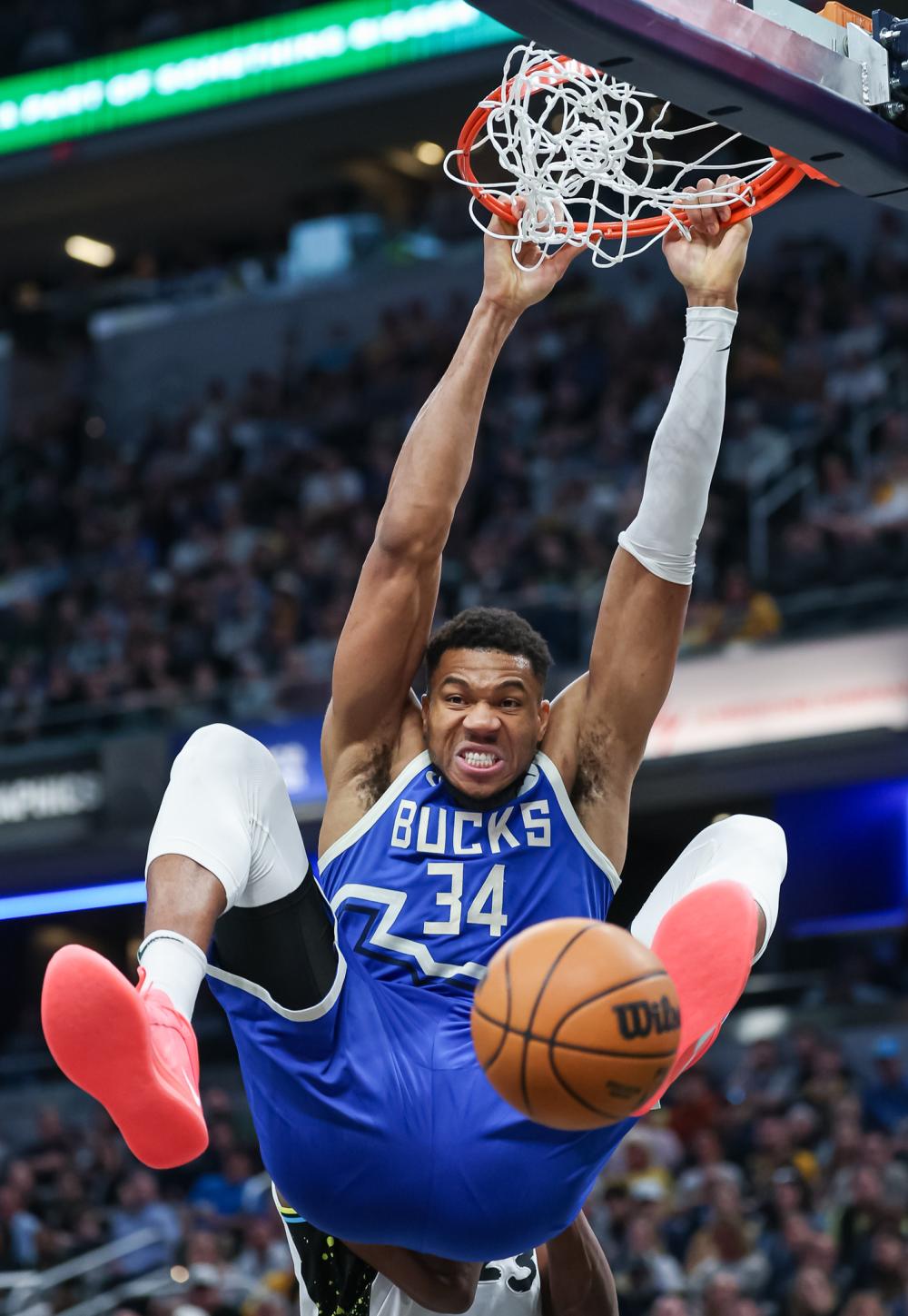 捧起了冠军 捧起了冠军